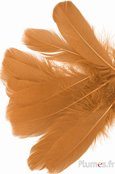 Gans - 11-15 cm - cognac